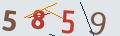 verifycode